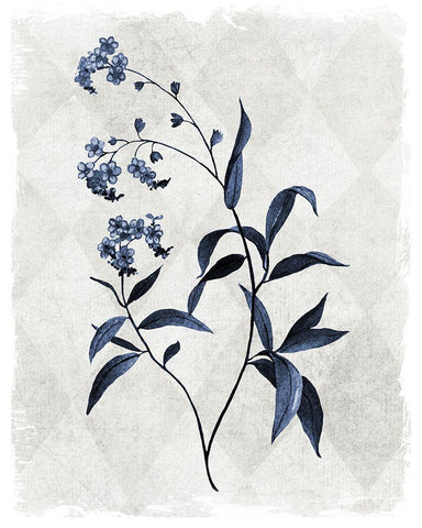 Harlequin Botanical I Black Ornate Wood Framed Art Print with Double Matting by Robinson, Carol
