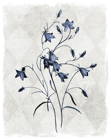 Harlequin Botanical II Black Ornate Wood Framed Art Print with Double Matting by Robinson, Carol