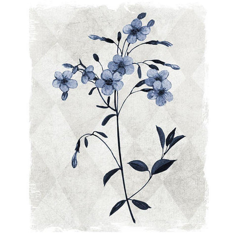 Harlequin Botanical III White Modern Wood Framed Art Print by Robinson, Carol