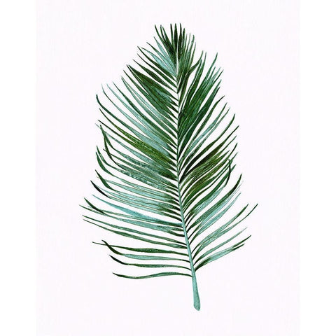 Sage Frond I Black Modern Wood Framed Art Print with Double Matting by Tava Studios