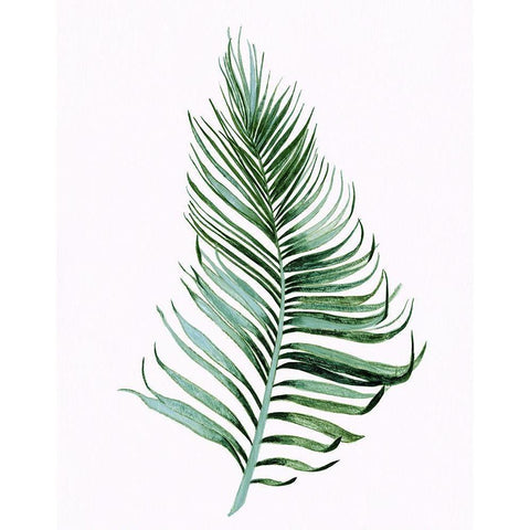 Sage Frond II Gold Ornate Wood Framed Art Print with Double Matting by Tava Studios