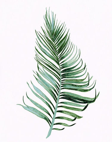 Sage Frond II Black Ornate Wood Framed Art Print with Double Matting by Tava Studios