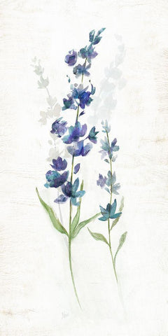 Fresh Cut Lavender I White Modern Wood Framed Art Print with Double Matting by Nan