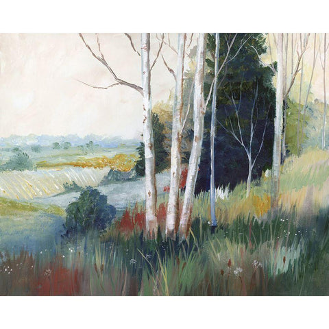 Aspen Ridge Black Modern Wood Framed Art Print by Nan