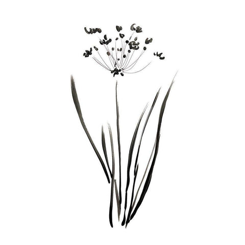Inky Botanical II White Modern Wood Framed Art Print by Donovan, Kelly
