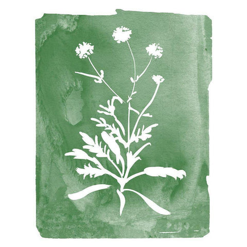 Green Botanical I White Modern Wood Framed Art Print by Donovan, Kelly