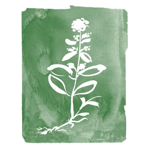 Green Botanical III White Modern Wood Framed Art Print by Donovan, Kelly