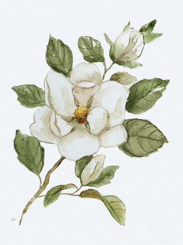 Magnolia Morning I White Modern Wood Framed Art Print with Double Matting by Nan
