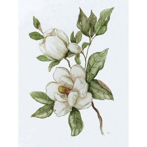 Magnolia Morning II White Modern Wood Framed Art Print by Nan