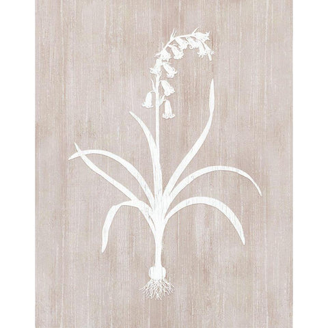 Botany Beauty I White Modern Wood Framed Art Print by CAD Designs