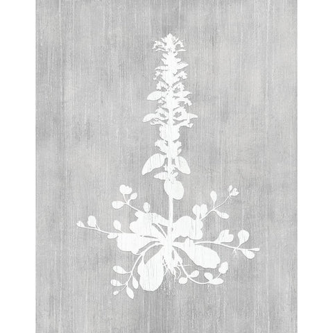 Botany Beauty II White Modern Wood Framed Art Print by CAD Designs