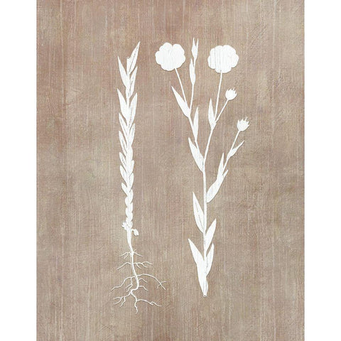 Botany Beauty III White Modern Wood Framed Art Print by CAD Designs