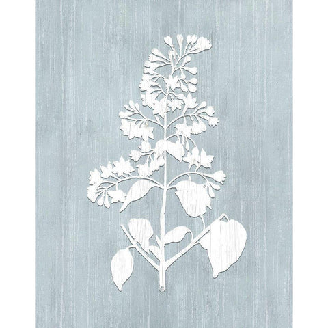 Botany Beauty IV White Modern Wood Framed Art Print by CAD Designs