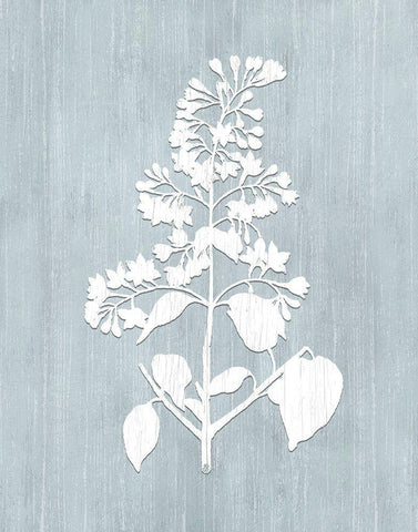 Botany Beauty IV White Modern Wood Framed Art Print with Double Matting by CAD Designs