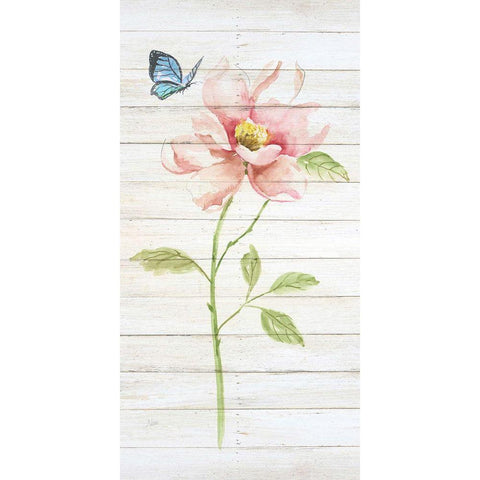 Soft Botanical I White Modern Wood Framed Art Print by Nan