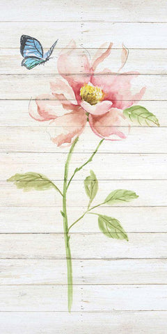 Soft Botanical I White Modern Wood Framed Art Print with Double Matting by Nan