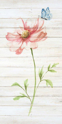 Soft Botanical II Black Ornate Wood Framed Art Print with Double Matting by Nan