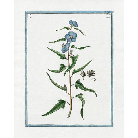 Shabby Chic Botanical I White Modern Wood Framed Art Print by Donovan, Kelly
