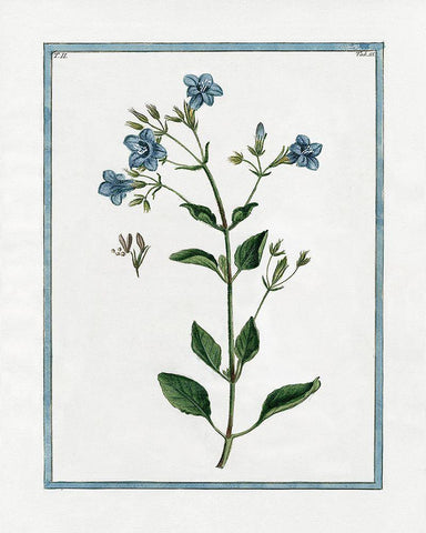 Shabby Chic Botanical II White Modern Wood Framed Art Print with Double Matting by Donovan, Kelly