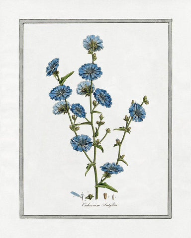 Soft Botanical I White Modern Wood Framed Art Print with Double Matting by CAD Designs