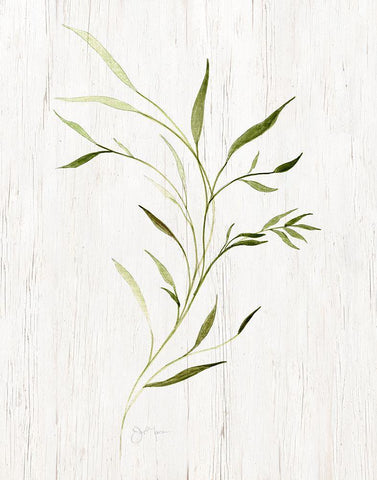 Windblown Leaves II White Modern Wood Framed Art Print with Double Matting by Tava Studios