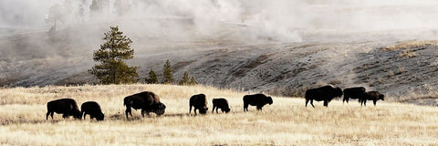 Heading Home Black Ornate Wood Framed Art Print with Double Matting by Delimont, Danita