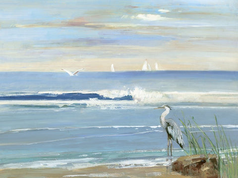 Sunrise Bay White Modern Wood Framed Art Print with Double Matting by Swatland, Sally