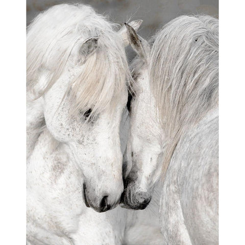 Affection II Gold Ornate Wood Framed Art Print with Double Matting by Delimont, Danita