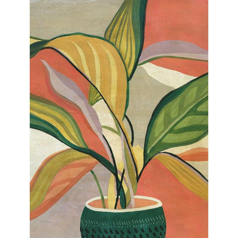Potted Bird of Paradise Black Modern Wood Framed Art Print with Double Matting by Robinson, Carol