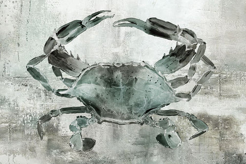 Neutral Crab II White Modern Wood Framed Art Print with Double Matting by Robinson, Carol