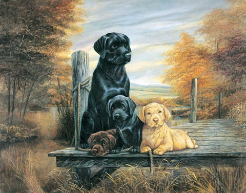 Change of Seasons Black Ornate Wood Framed Art Print with Double Matting by Manning, Ruane