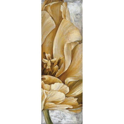 Single Appeal I White Modern Wood Framed Art Print by Thompson, Linda