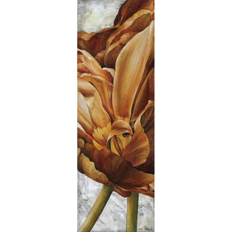 Single Appeal II White Modern Wood Framed Art Print by Thompson, Linda