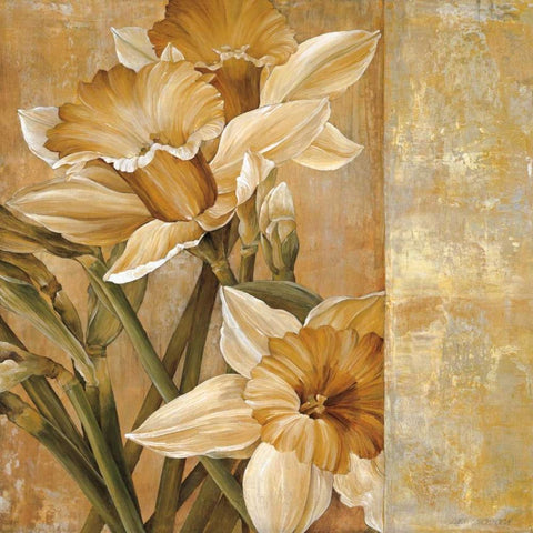 Champagne Daffodils I White Modern Wood Framed Art Print by Thompson, Linda