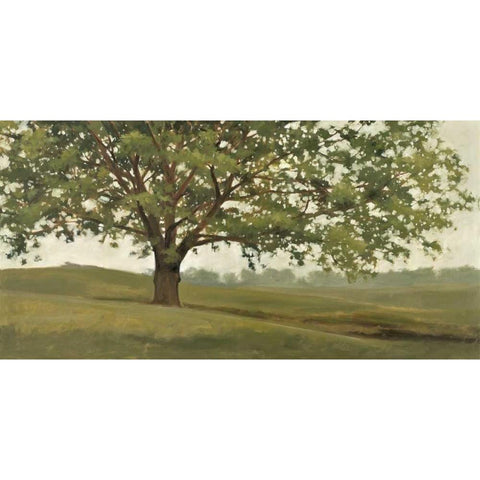 Wisdom Grows White Modern Wood Framed Art Print by Lightell, Megan