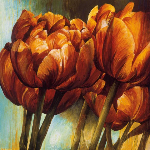Floral Radiance I Black Modern Wood Framed Art Print with Double Matting by Thompson, Linda