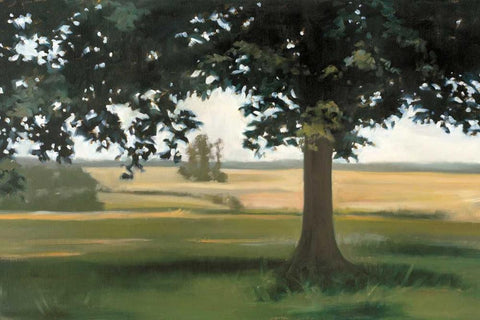 Hidden Pasture White Modern Wood Framed Art Print with Double Matting by Lightell, Megan