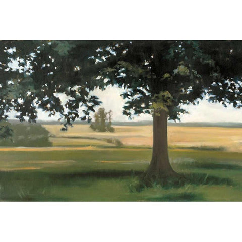 Hidden Pasture White Modern Wood Framed Art Print by Lightell, Megan