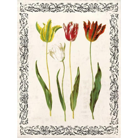 Spring Blooms I White Modern Wood Framed Art Print by Berg, Sabine