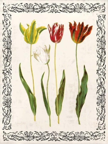 Spring Blooms I White Modern Wood Framed Art Print with Double Matting by Berg, Sabine