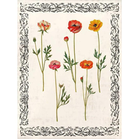 Spring Blooms II White Modern Wood Framed Art Print by Berg, Sabine