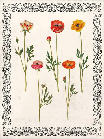Spring Blooms II White Modern Wood Framed Art Print with Double Matting by Berg, Sabine