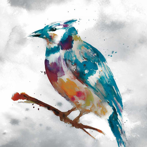 Blue Jay White Modern Wood Framed Art Print by Fontaine, Stephanie