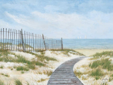 Breezing Up White Modern Wood Framed Art Print with Double Matting by Fisk, Arnie