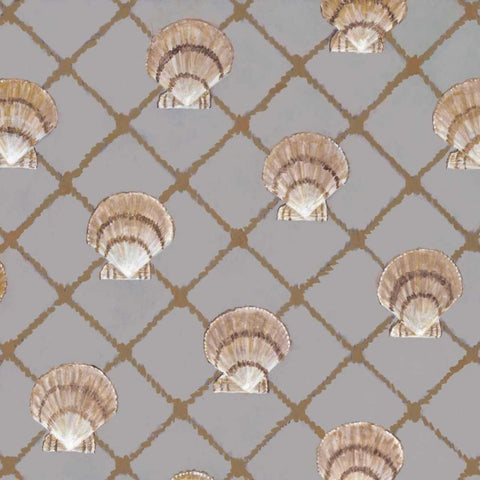 Scallop Shell Net Black Modern Wood Framed Art Print by Fisk, Arnie