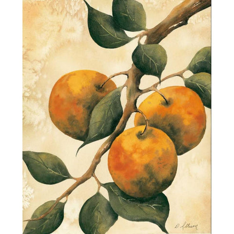 Italian Harvest - Oranges White Modern Wood Framed Art Print by Allison, Doris