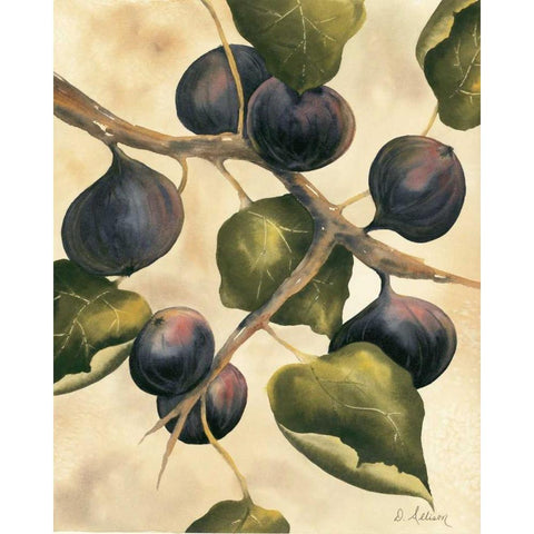 Italian Harvest - Figs White Modern Wood Framed Art Print by Allison, Doris