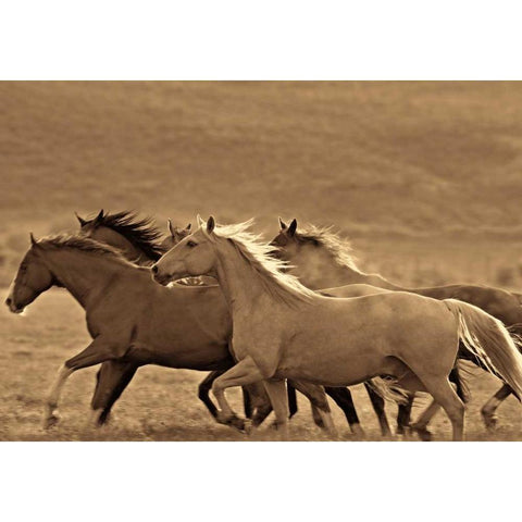 Like the Wind II Gold Ornate Wood Framed Art Print with Double Matting by Caro, Wendy