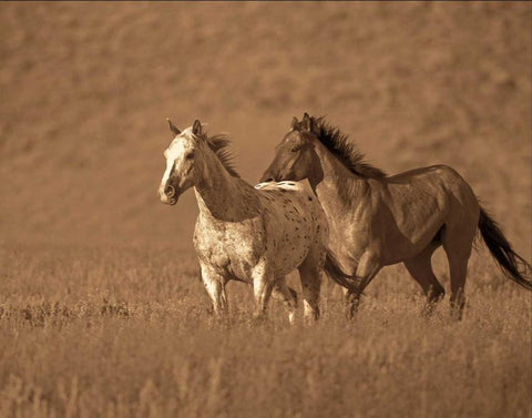 Partners Black Ornate Wood Framed Art Print with Double Matting by Caro, Wendy