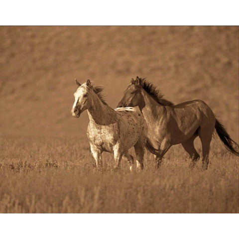 Partners Black Modern Wood Framed Art Print by Caro, Wendy